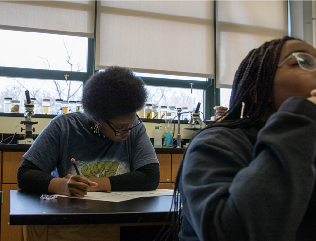 Students in the library